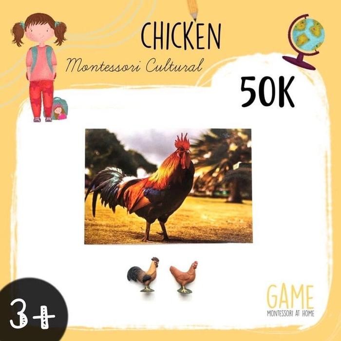TERBARU MONTESSORI CULTURAL FARM ANIMAL CHICKEN TERMURAH