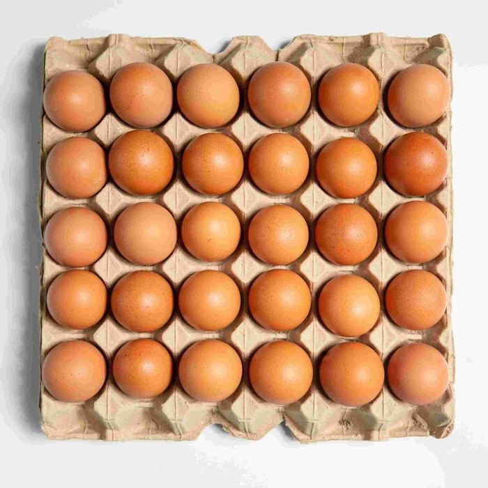 Segar&amanah- Telor Omega Jumbo Isi 1Kg /Telur Ayam/Telur Murah/Telor Omega 3/Omega