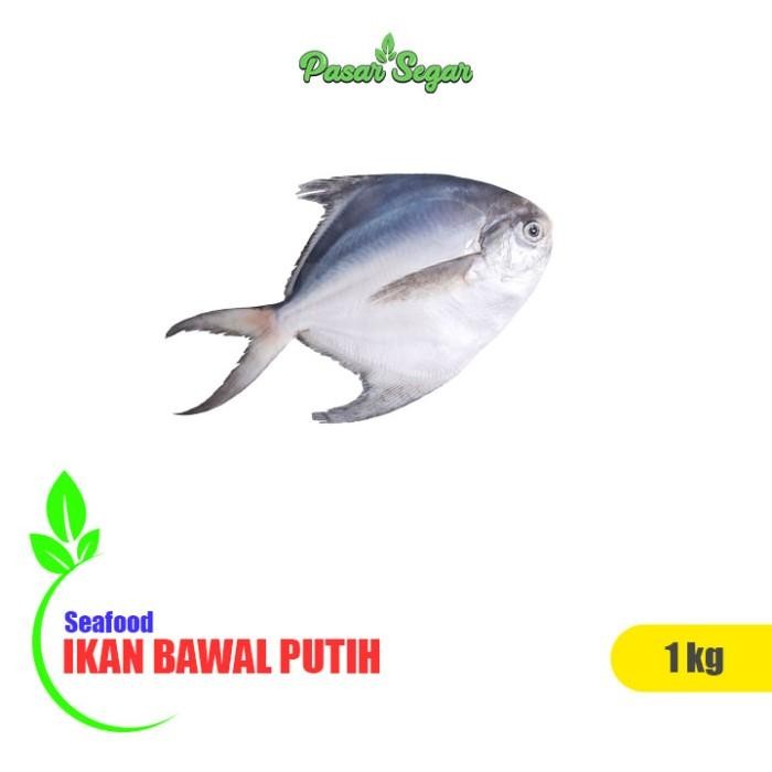 Instanbisa- Ikan Bawal Putih 1 Kg