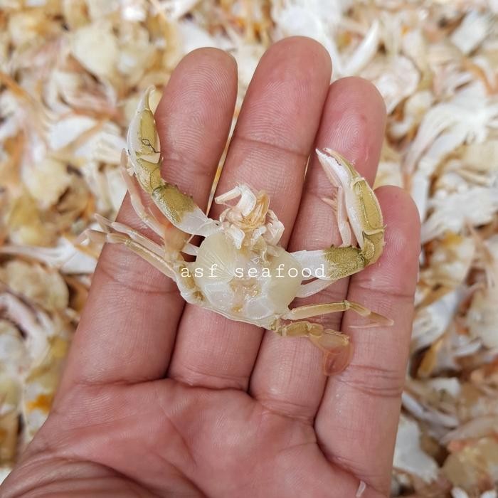Eat77- Baby Crab / Kepiting Kecil Mentah
