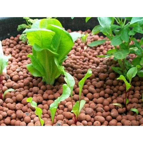 TERJAMIN Hidroton 1 liter Jerman - Leca Clay Balls Media Tanam Hydrotone