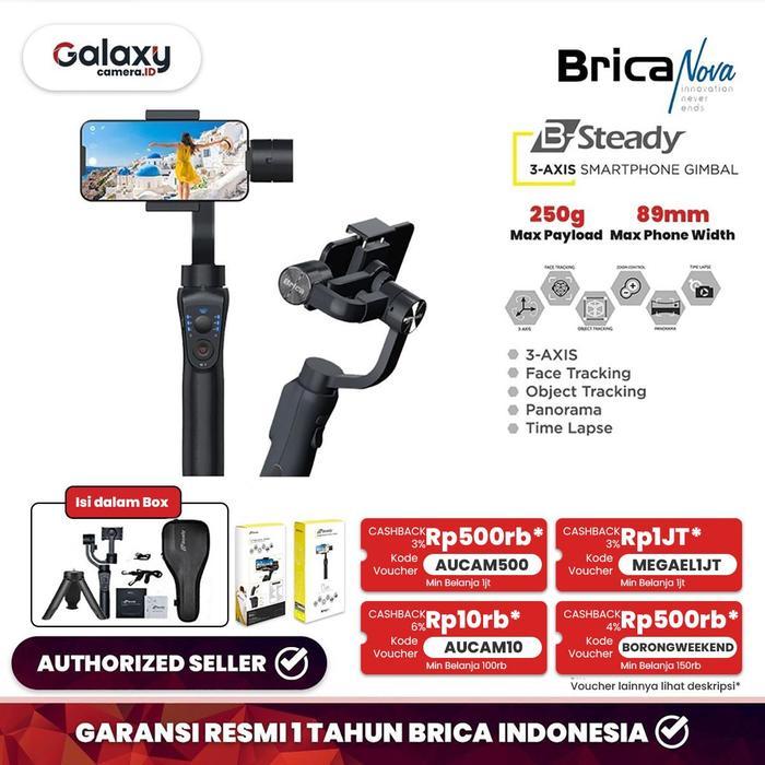 Brica B-Steady
