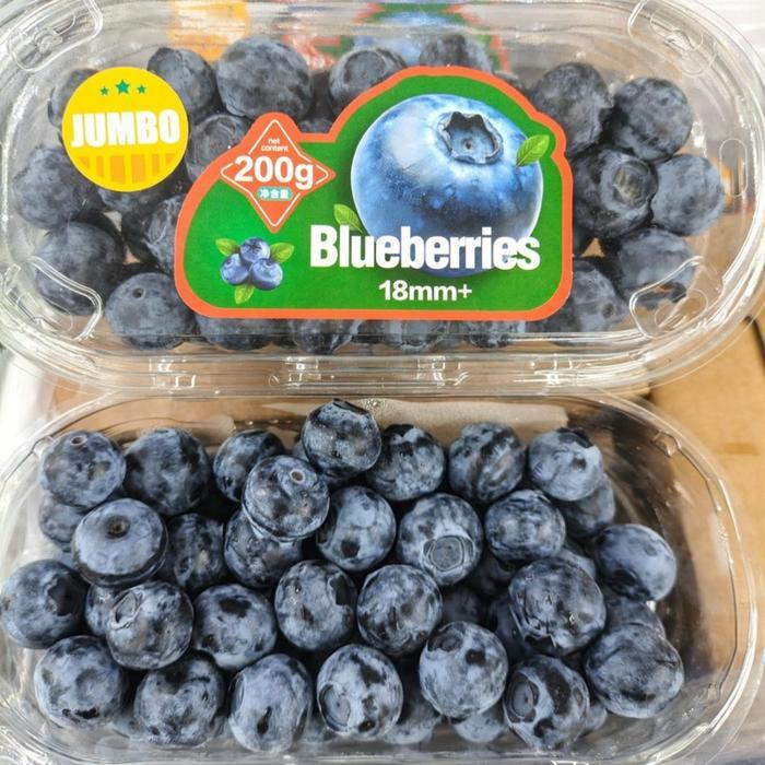 Buah Blueberry blueberry jumbo blueberry blueberry