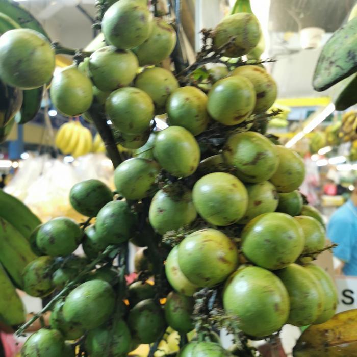 Buah matoa asli papua manis aroma durian / rambutan papua