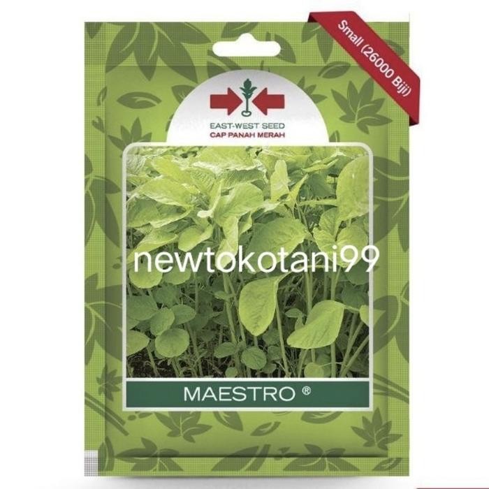 Stok Baru ( 26000butir ) Benih bayam MAESTRO 26000 butir panah merah bayam hijau bayam potong