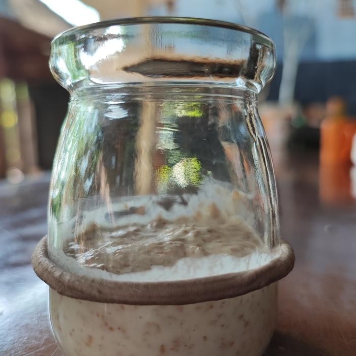kp64- Sourdough Gandum Starter / Ragi Alami / Wheat Sourdough Starter
