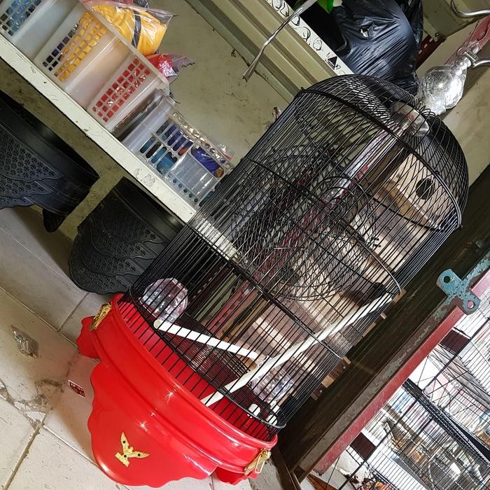 DISKON sangkar lb radja pvc READY STOCK