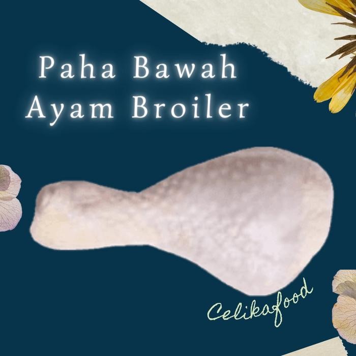 

Pilihan- Paha Bawah Ayam 500 Gr Broiler Pentol Chicken Drumstick Fresh