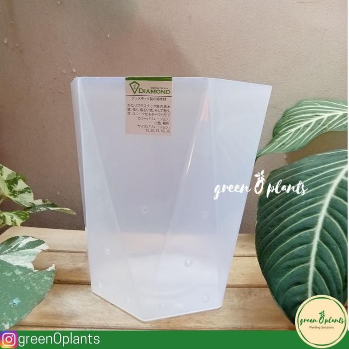 Pot TABITHA Diamond 25 Bening Berlubang