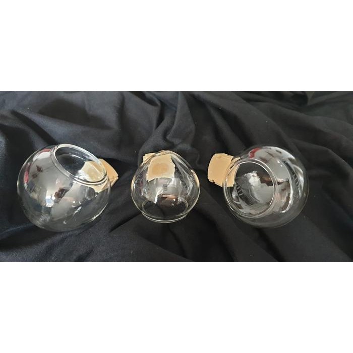 Phoenix Aviary - Cepuk Cungkok Besar Hm Kaca Bening Untuk Burung Kacer