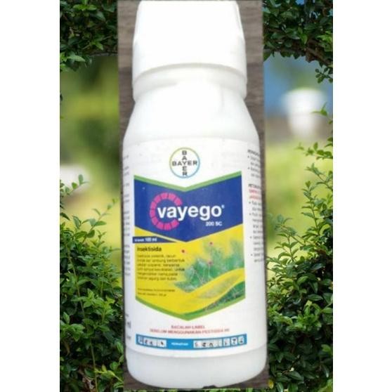 INSEKTISIDA VAYEGO 10 HAMA ULAT I JAGUNG KUBIS