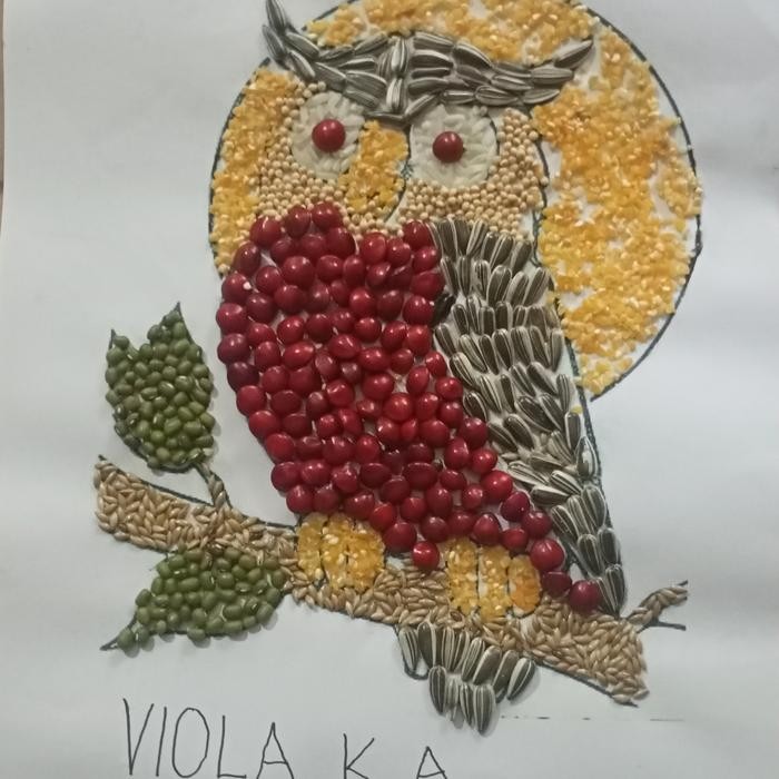 Kolase Biji Burung Hantu Bulan