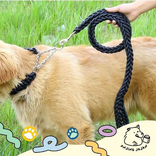 Leash Anjing Nilon Tali Tuntun Anjing Dog Leash