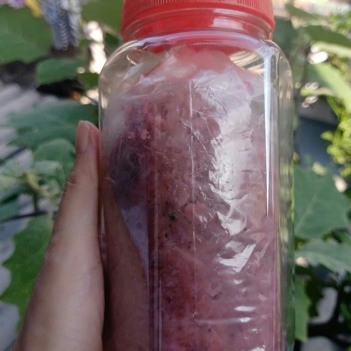 Eat,- Hakoi / Hekoi Pedak Udang Rebon / Brune / Cincalok Udang