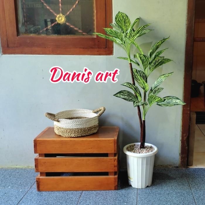 Pohon puring palsu/ tanaman plastik / bunga hias/Puring