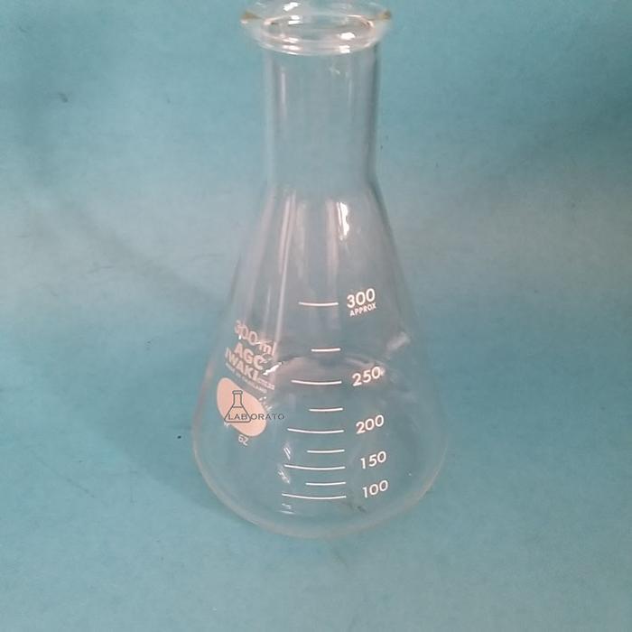 ERLENMEYER 300ML IWAKI PYREX 300 ML