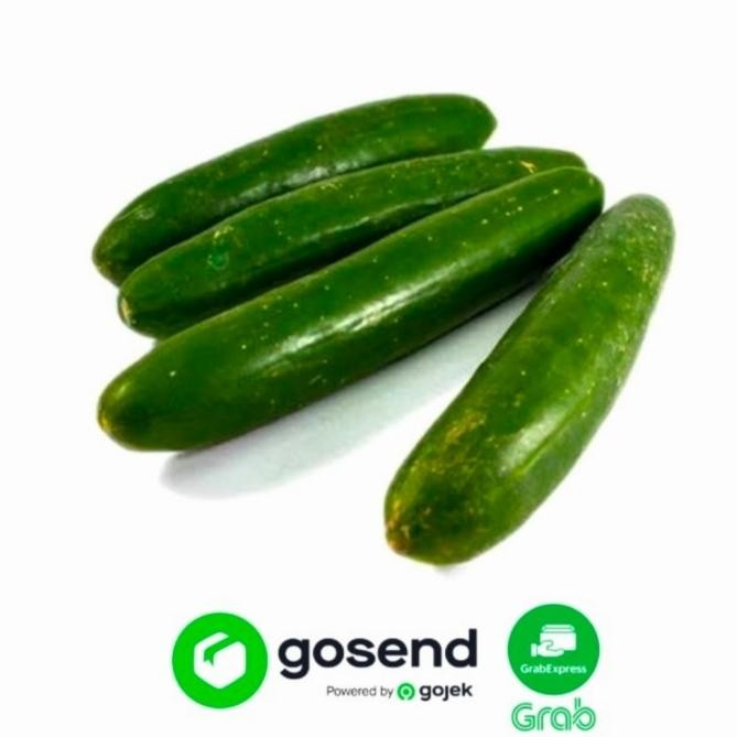 

Pilihan- Kyuri/ Timun Jepang Kyury 1 Kg Fresh