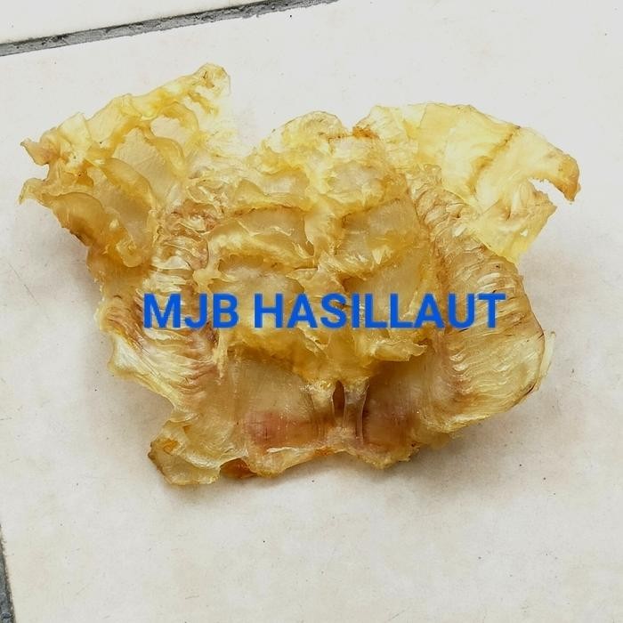 JAJANAJA- Perut Ikan Manyung Hupio / Lambung Ikan / Hipio /Berat 100Gram