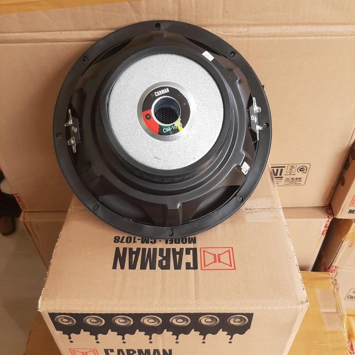 SUBWOOFER 10 in CARMAN