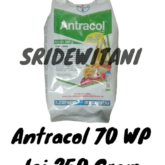 tl1b- Fungisida Antracol 70 Wp Isi 250 Gram Tanaman