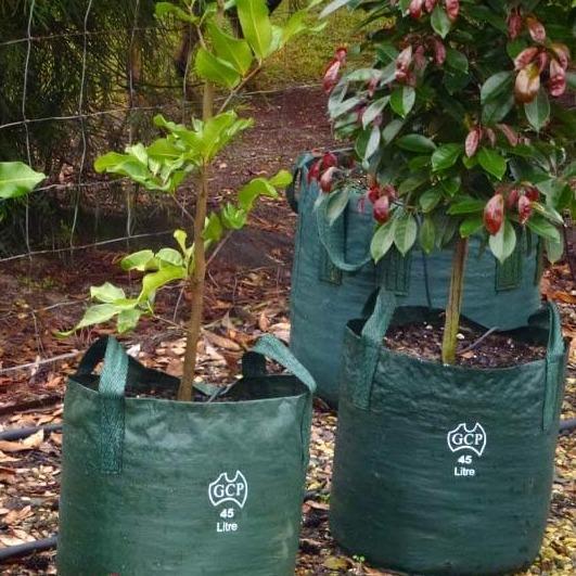 Planter Bag Easy Grow 50 Liter Hijau - Planter Bag Hijau - Planter Bag 50 Liter Tall - Planter Bag