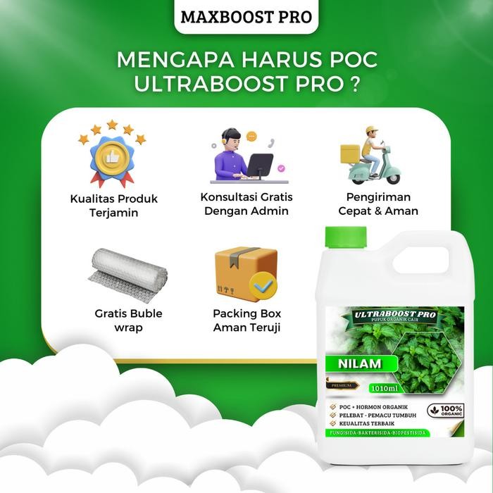 

Promo Pupuk Organik Cair Ultraboost Pro Khusus Tanaman Daun Nilam - Nutrisi Lengkap Untuk Hasil