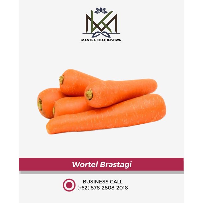 

Pilihan- Wortel Brastagi - 1/2 Kg