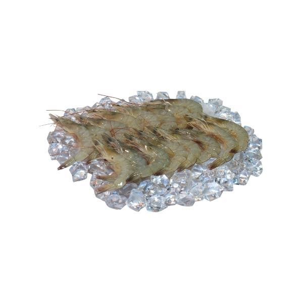 

Pilihan- Udang Vaname 240 Gr