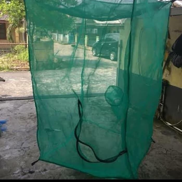KANDANG JARING BSF - KANDANG LALAT BSF SIAP PAKAI