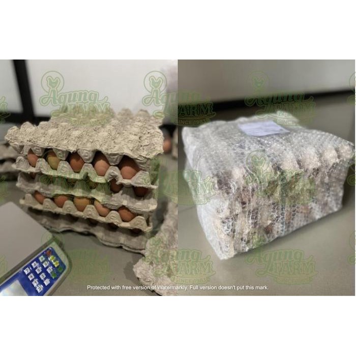 Segar&amanah- Telur Ayam Negri Per 1 Kg Curah Segar Dari Kandang Nkv