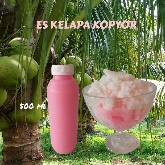 TerEnakPolll- Es Kelapa Kopyor 500 Ml