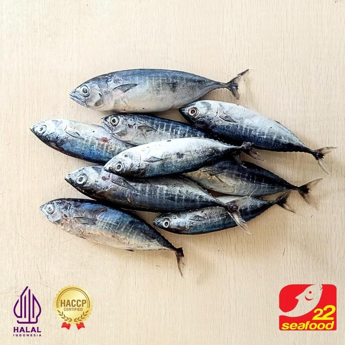 Seaf00d- Ikan Baby Tuna Utuh 1 Kg / Ikan Laut / Seafood 22 Frozen