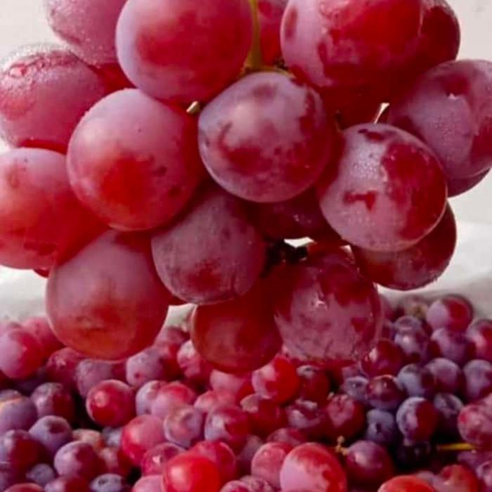 buah anggur segar 1kg jual buah buahan segar fresh berkualitas dengan harga grosir murah