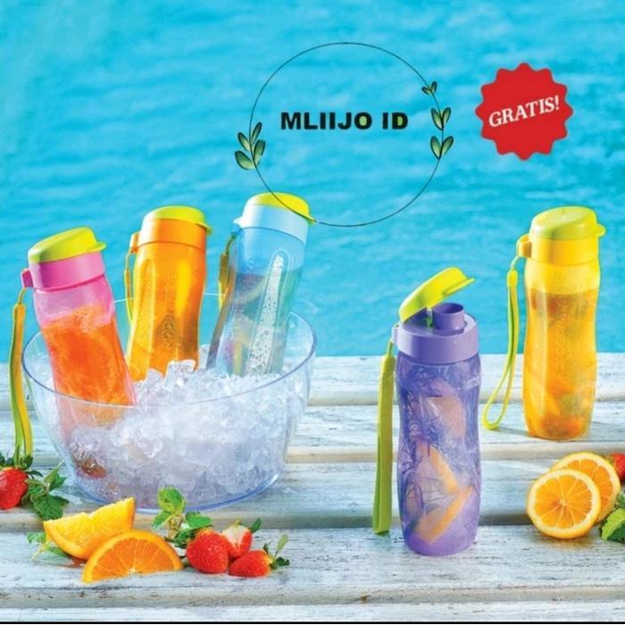 Hemm - Botol Minum Tupperware Eco Bottle 500 Ml Eco Fashion 500 Ml Dengan Tutup