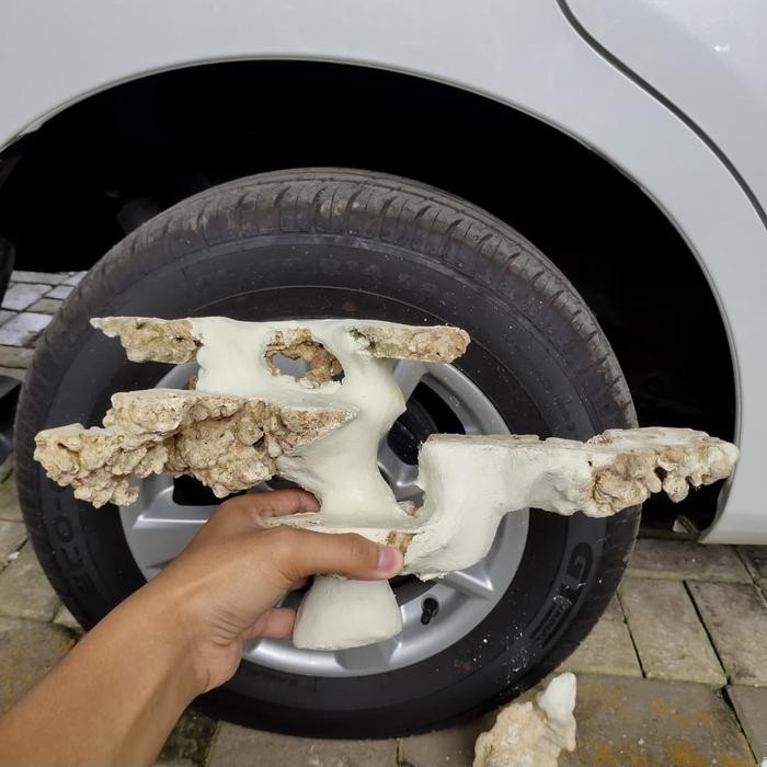 Khusus Grab Scaping / Liverock / Deadrock 80Cm