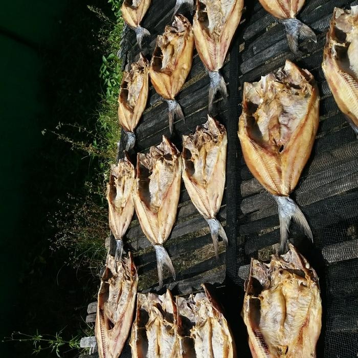 

Jambal Roti Super Asli Pangandaran