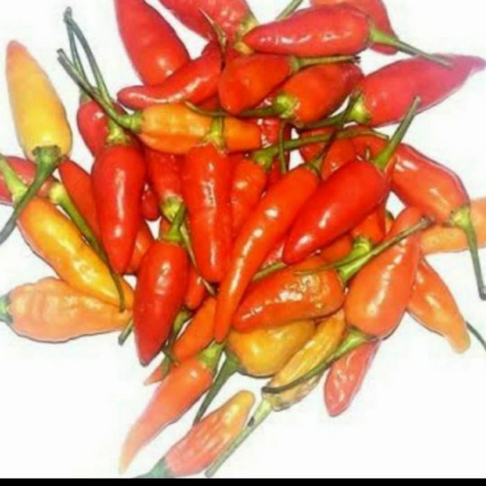 

Pilihan- Cabe Rawit Merah 250 Gram Fresh