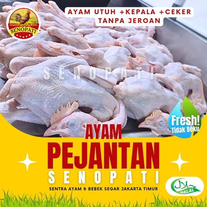 

Pilihan- Ayam Pejantan Utuh Karkas Fresh Senopati