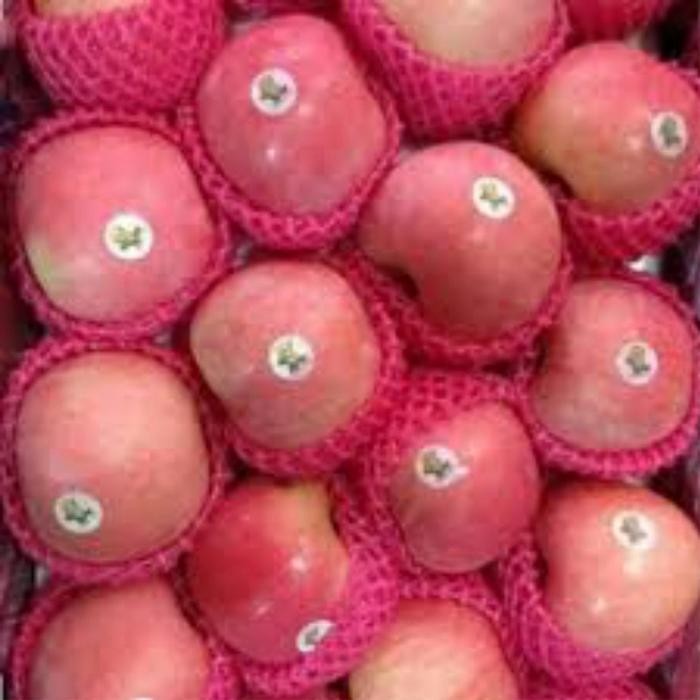 

Pilihan- Apel Fuji Fress Buah Buahan Fress Pasar Murah Bandung/500Gr