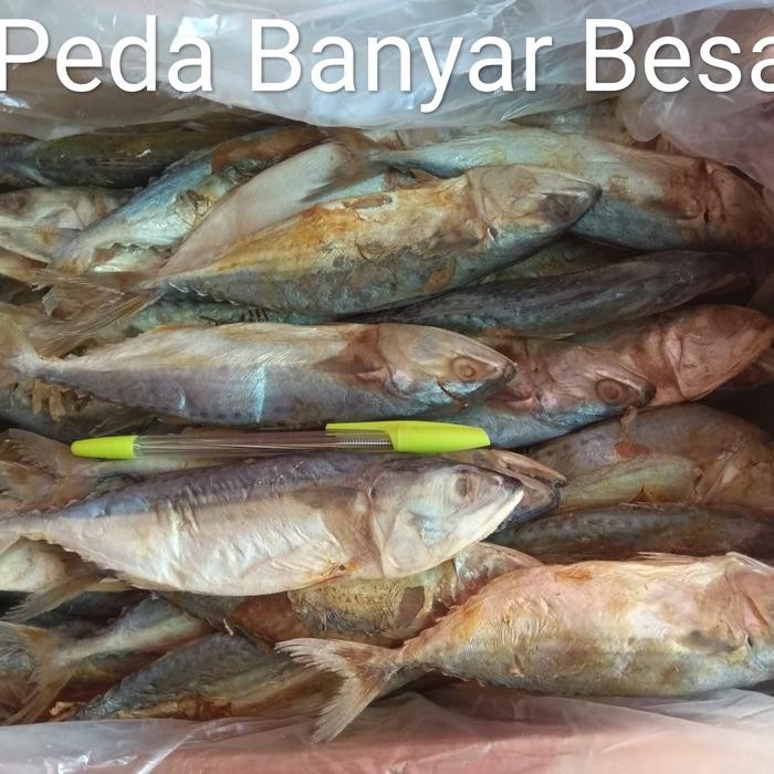 Pilihan- Ikan Asin Peda Banyar Besar Khas Kota Tegal 25Ribu Isi 500Gram