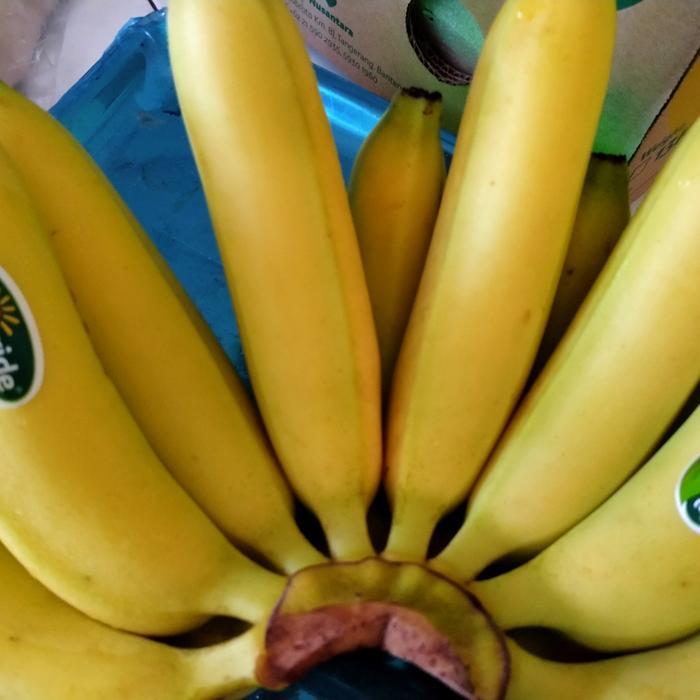 pisang cavendish sunpride