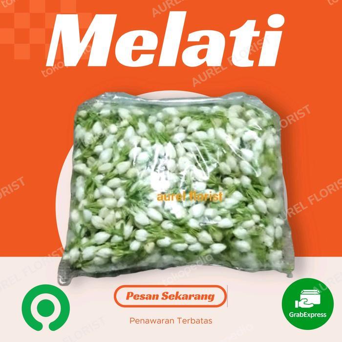 Baru Bunga Melati Segar / Jasmine/ Bunga Segar