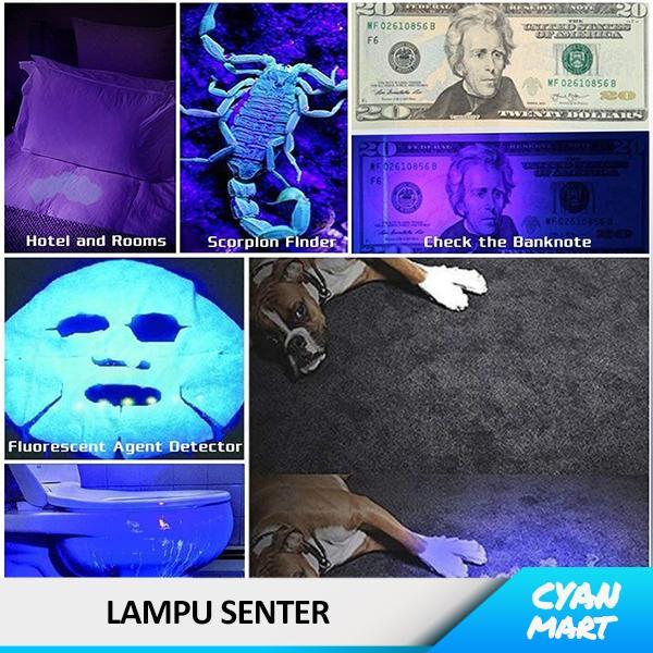 NEW Lampu Senter UV Flashlight LED Ultraviolet UVC 365 Aluminum USB