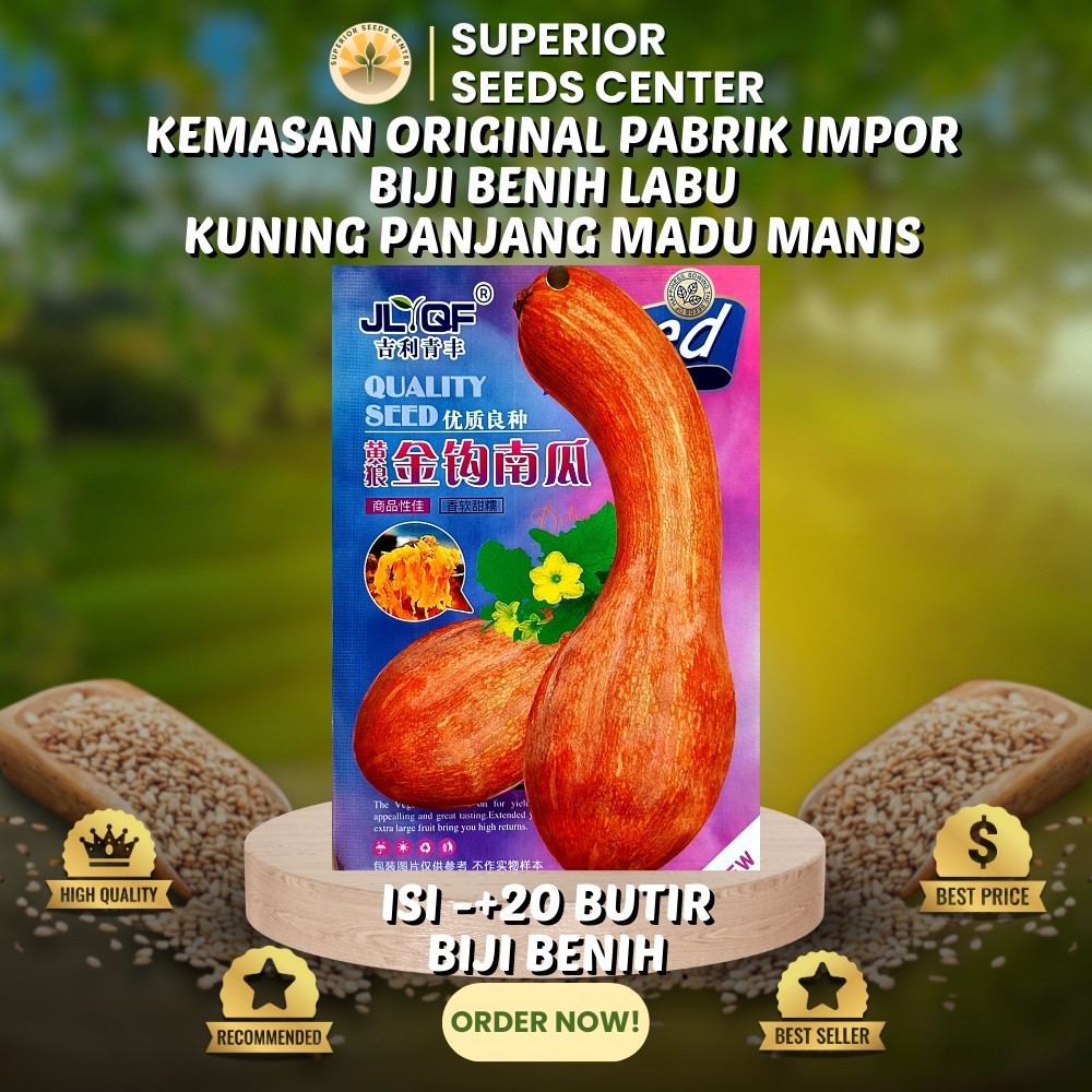 20 Butir Biji Benih Labu Kuning Panjang | Labu Kail Madu Manis Lembut (Kemasan Original Pabrik Impor