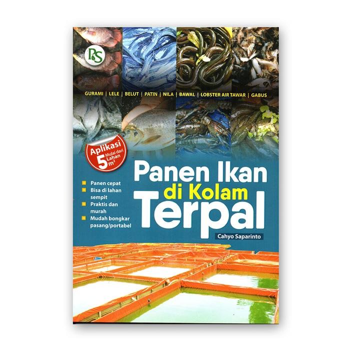 

Panen Ikan Di Kolam Terpal