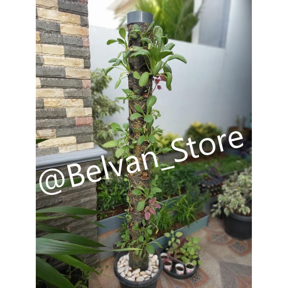 FREE ONGKIR Vertikal Hidroponik / Tower Hidroponik UP501