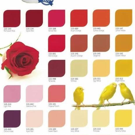 Bisa Gosend Ftalit / Cat Besi / Cat Minyak / Cat Kayu 1Kg Ftalit Putih - Hitam