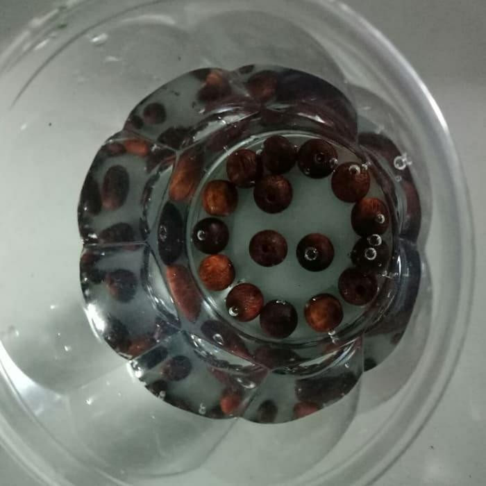 gelang rosario kayu stigi asli