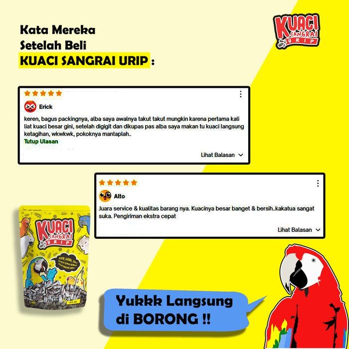 Kuaci Sangrai Super Jumbo Untuk Burung Kakatua Macaw Afgrey Amazon Terbatas