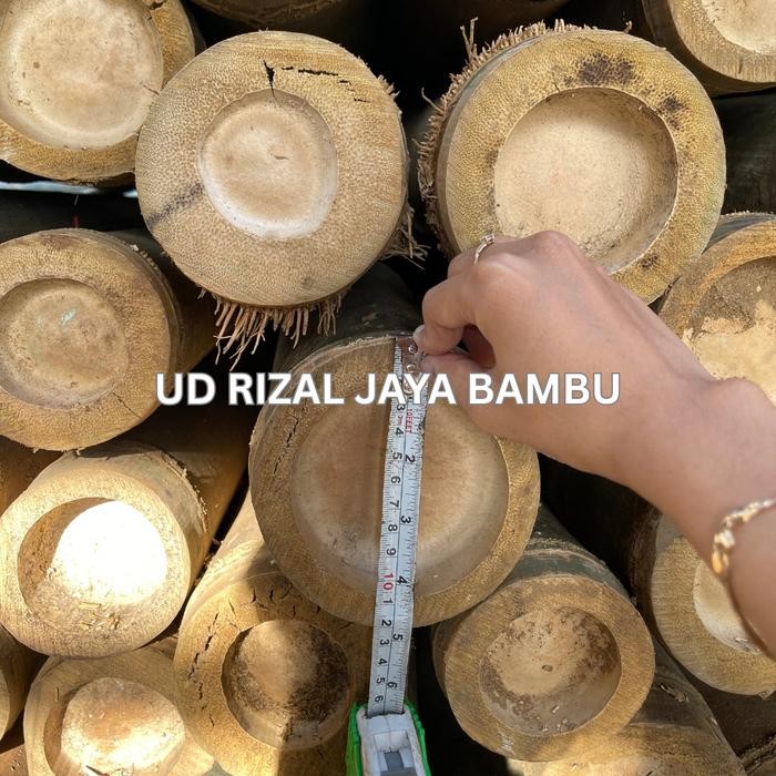 Bambu Steger Diameter 10-12 cm Panjang 6 meter